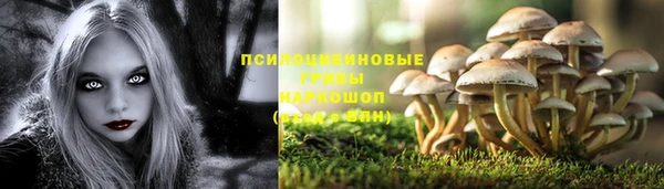 спайс Арсеньев
