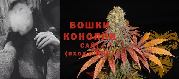 соль ск Новодвинск